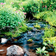 According to Dennis Schickle, lead defense attorney for Pacific North Construction & Lumber Corp., his client's rape of 30,000 acres of forest was precipitated by the plaintiff's "flagrant flaunting of its abundant natural resources."